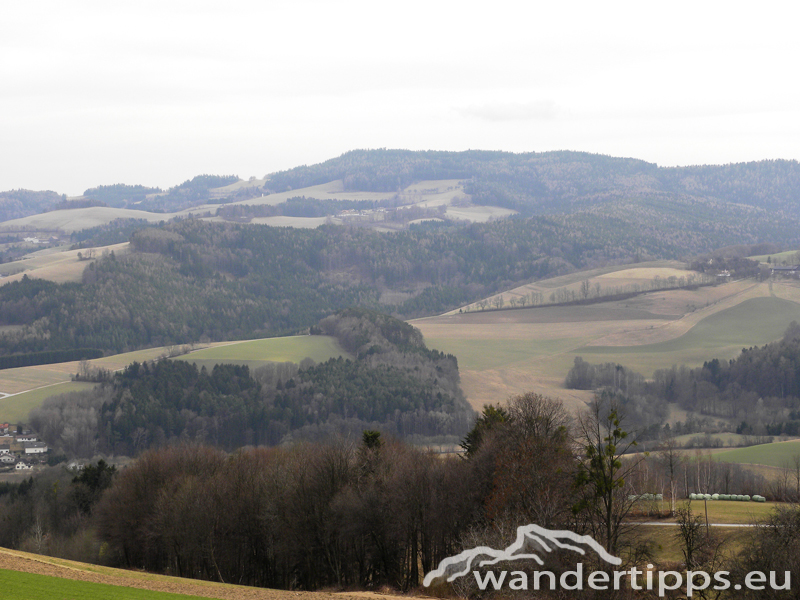 Hutwisch Abbildung 1