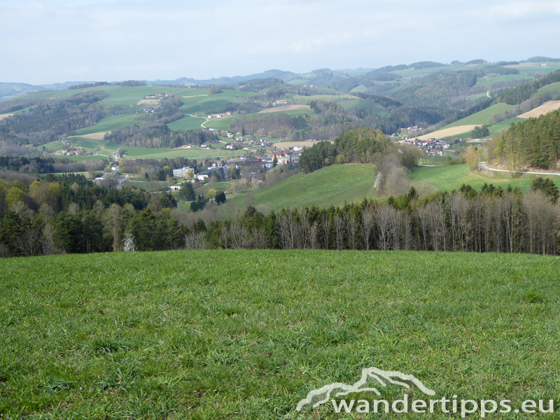 Hutwisch Abbildung 11