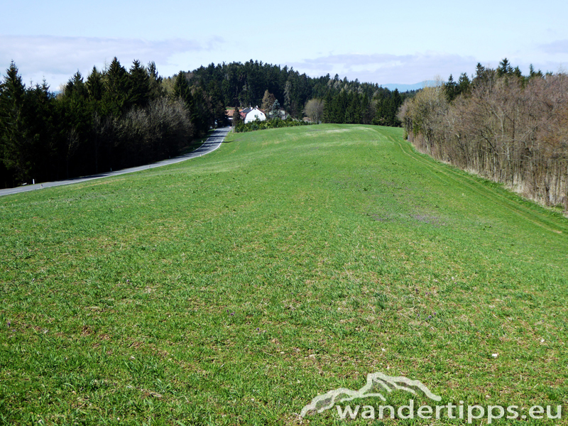 Hutwisch Abbildung 4