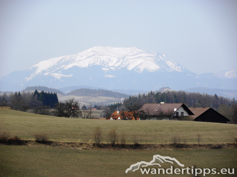 Hutwisch Abbildung 9