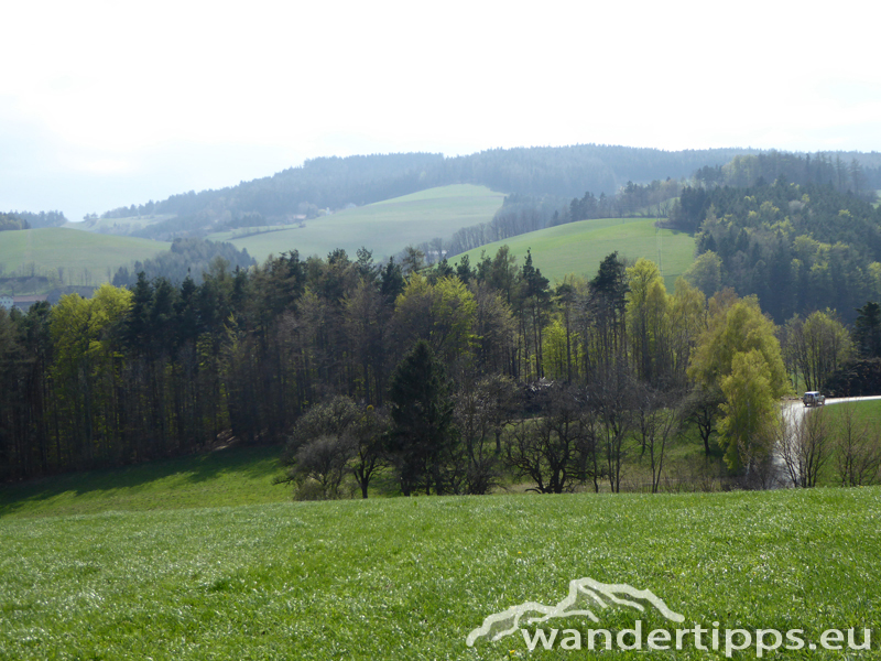 Hutwisch Abbildung 10