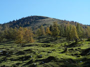 Hochanger Abbildung 6