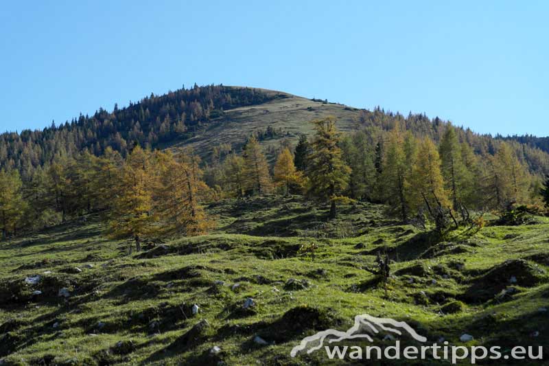 Hochanger Abbildung 6