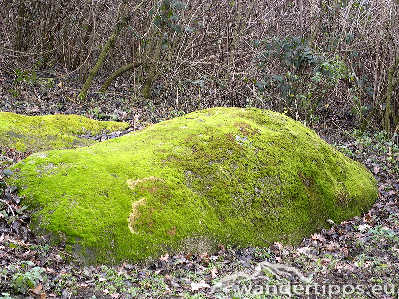 Michelberg/Waschberg Abbildung 6