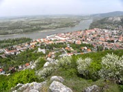 Hundsheimer Berg von Norden Abbildung 2