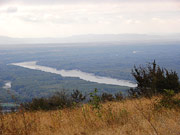 Hundsheimer Berg von Norden Abbildung 5
