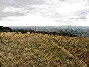 Hundsheimer Berg von Norden Abbildung 6