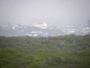 Hundsheimer Berg von Norden Abbildung 7