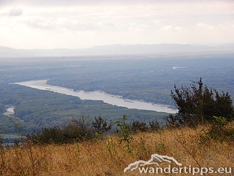Hundsheimer Berg von Norden Abbildung 5