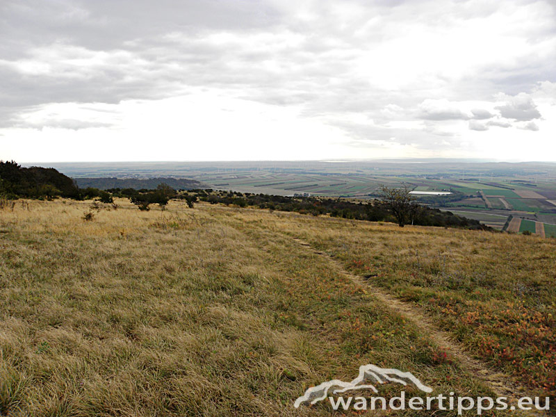 Hundsheimer Berg von Norden Abbildung 6