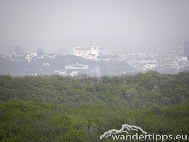 Hundsheimer Berg von Norden Abbildung 7
