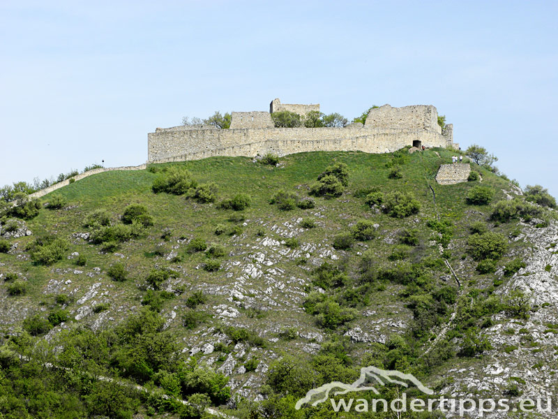 Hundsheimer Berg von Norden Abbildung 9