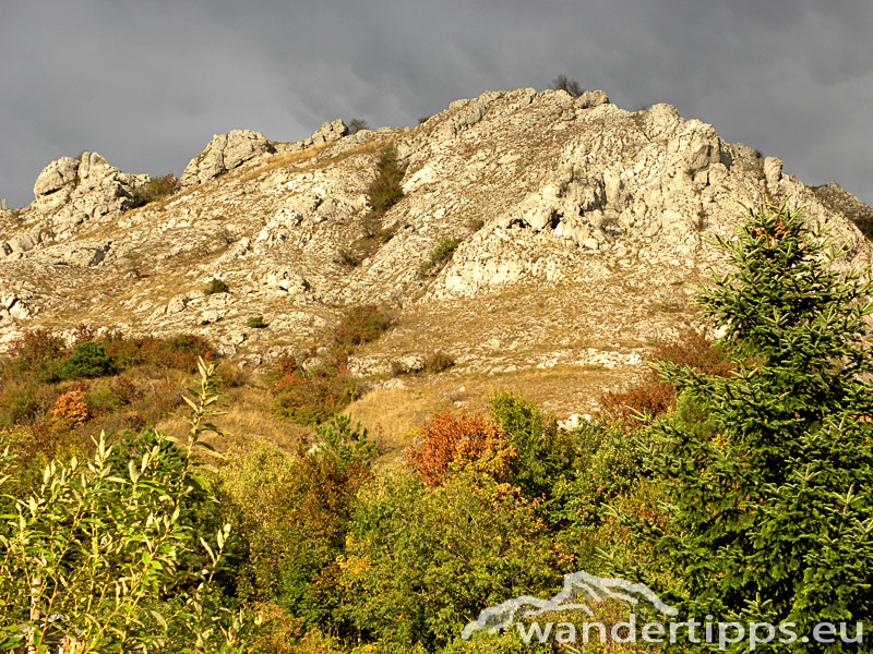Hundsheimer Berg von Norden Abbildung 10