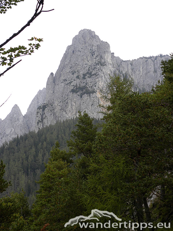 Fölzalm/Hochschwab Abbildung 2