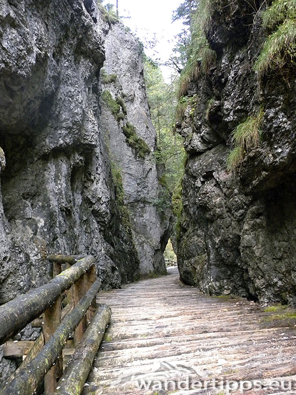 Fölzalm/Hochschwab Abbildung 10