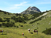 Hochstadl Abbildung 4