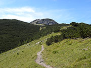 Hochstadl Abbildung 5