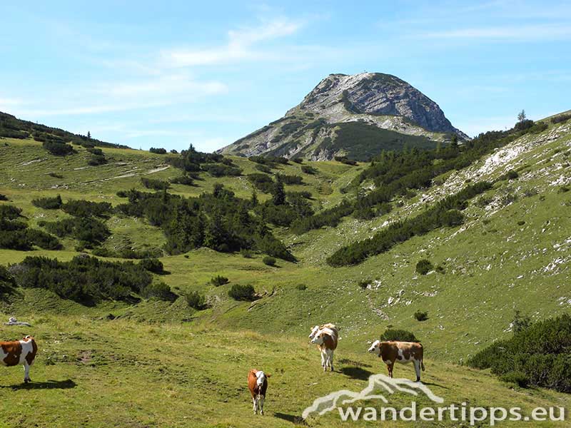 Hochstadl Abbildung 4