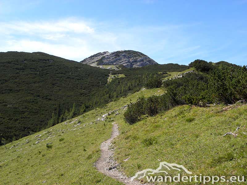 Hochstadl Abbildung 5