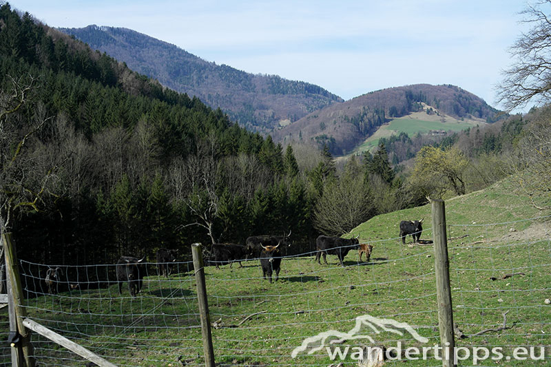 Hohenstein von Nordwesten Abbildung 2