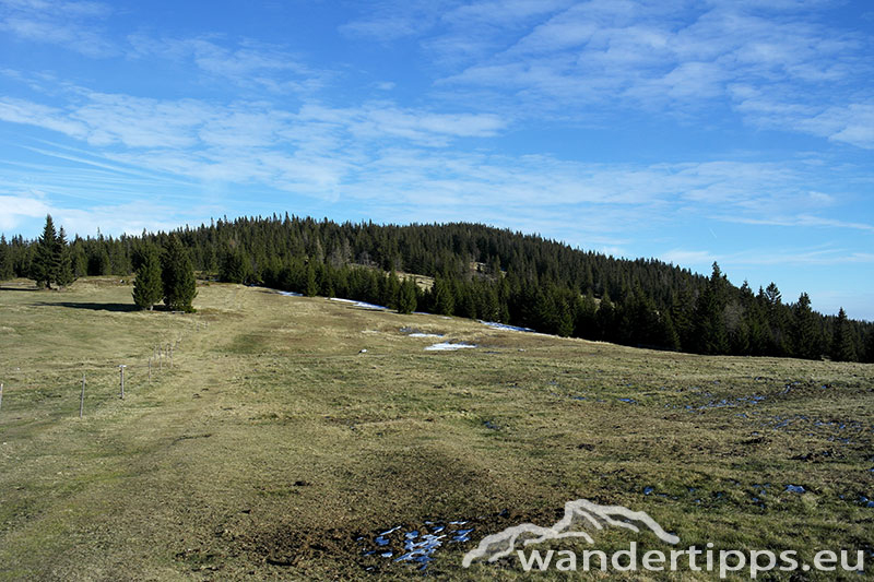 Kampstein von Norden Abbildung 10