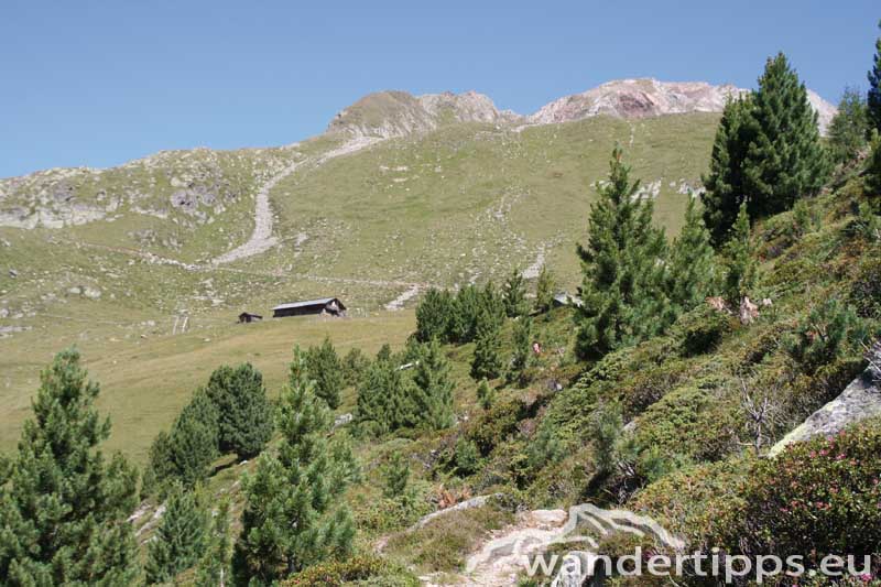 Neue Reichenberger Hütte Abbildung 2