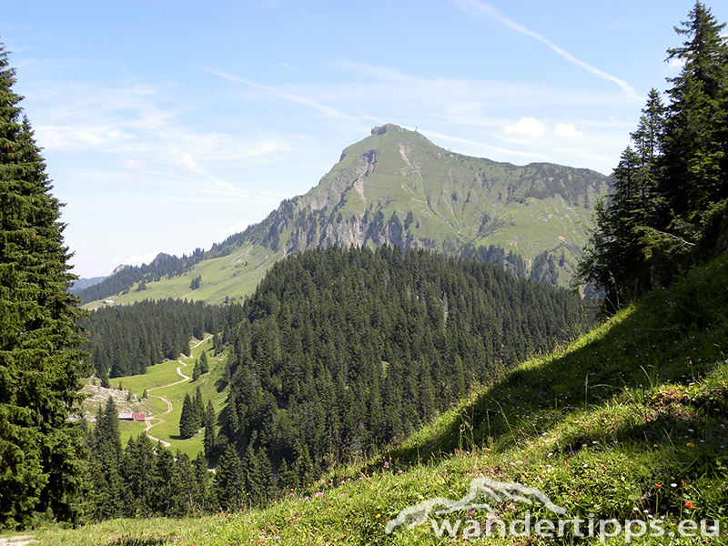 Mittagsfluh/Liegstein Abbildung 9